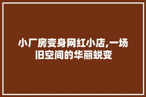 小厂房变身网红小店,一场旧空间的华丽蜕变(小厂房效果图)