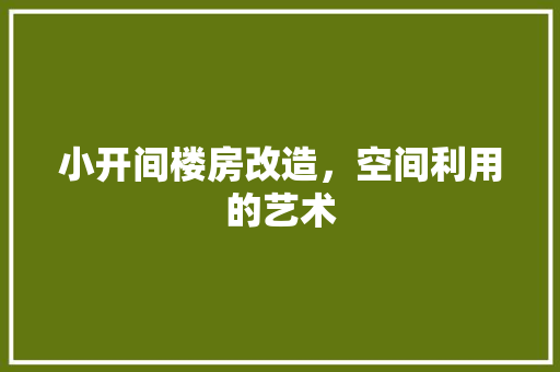 小开间楼房改造，空间利用的艺术(小开间房屋设计)