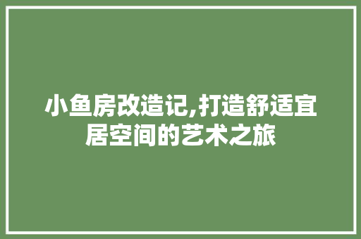 小鱼房改造记,打造舒适宜居空间的艺术之旅