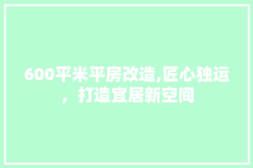 600平米平房改造,匠心独运，打造宜居新空间(600平方平房设计)