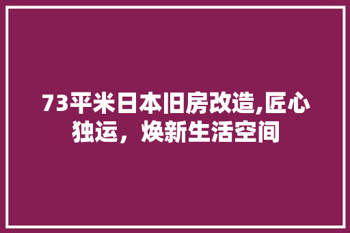 73平米日本旧房改造,匠心独运，焕新生活空间(日本旧房子改造)