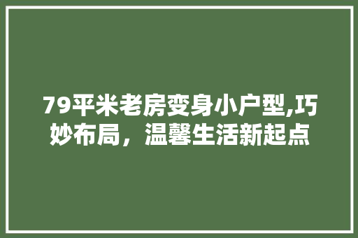 79平米老房变身小户型,巧妙布局，温馨生活新起点