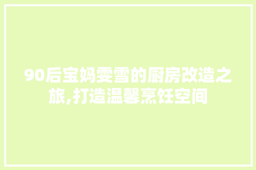 90后宝妈雯雪的厨房改造之旅,打造温馨烹饪空间(厨房文学是什么意思)