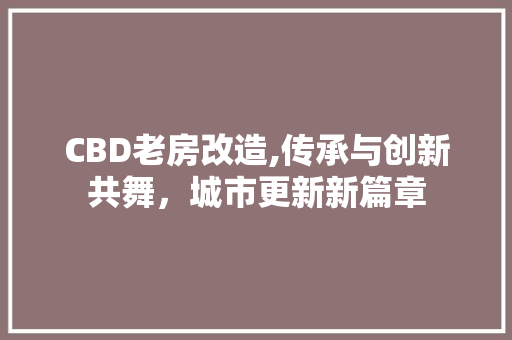 CBD老房改造,传承与创新共舞，城市更新新篇章