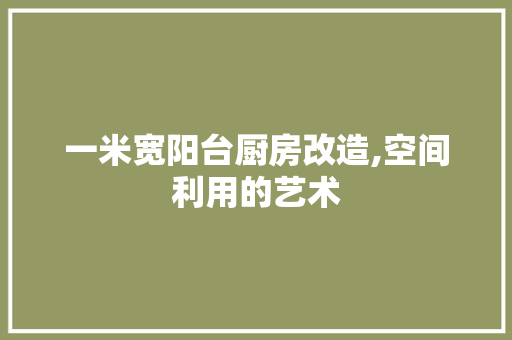 一米宽阳台厨房改造,空间利用的艺术(一米宽阳台改厨房图片)