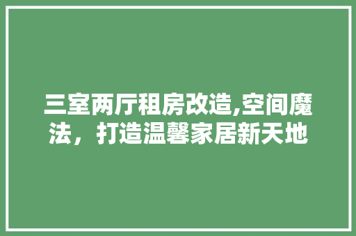 三室两厅租房改造,空间魔法，打造温馨家居新天地