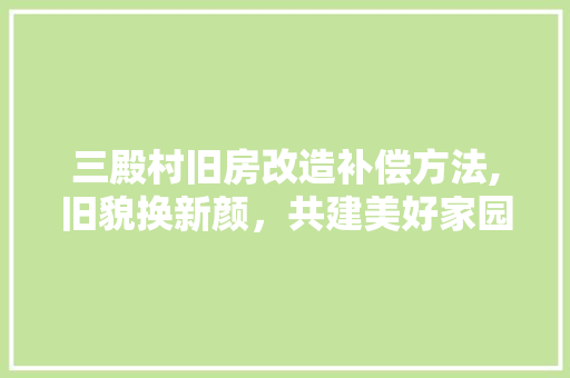 三殿村旧房改造补偿方法,旧貌换新颜，共建美好家园