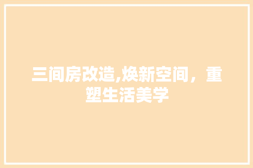 三间房改造,焕新空间，重塑生活美学