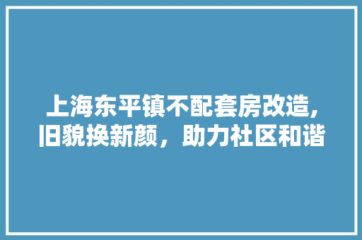 上海东平镇不配套房改造,旧貌换新颜，助力社区和谐发展