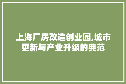 上海厂房改造创业园,城市更新与产业升级的典范
