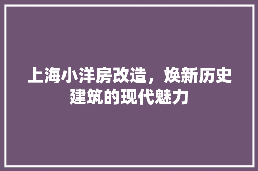 上海小洋房改造，焕新历史建筑的现代魅力(老上海小洋房装修风格)