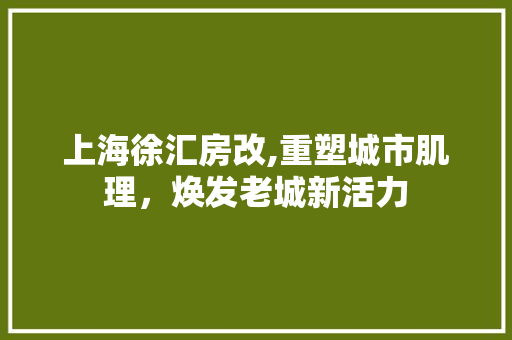 上海徐汇房改,重塑城市肌理，焕发老城新活力(上海徐汇区旧房改造2021年计划)