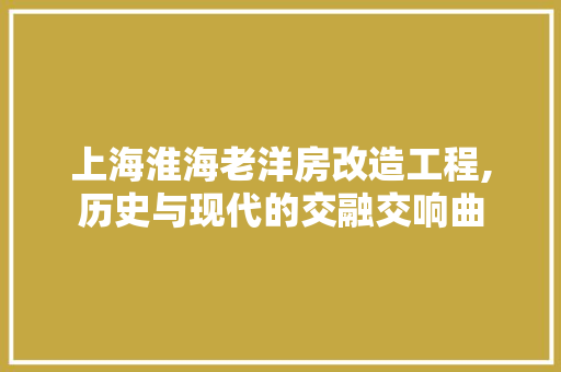上海淮海老洋房改造工程,历史与现代的交融交响曲