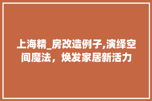 上海精_房改造例子,演绎空间魔法，焕发家居新活力(上海精装房图片)