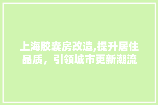上海胶囊房改造,提升居住品质，引领城市更新潮流(上海胶囊房多少钱)
