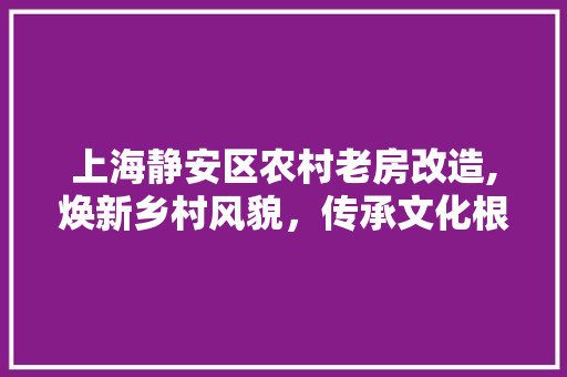 上海静安区农村老房改造,焕新乡村风貌，传承文化根脉(上海农村旧房改造)