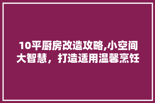 10平厨房改造攻略,小空间大智慧，打造适用温馨烹饪天地(10平方厨房改造多少钱)