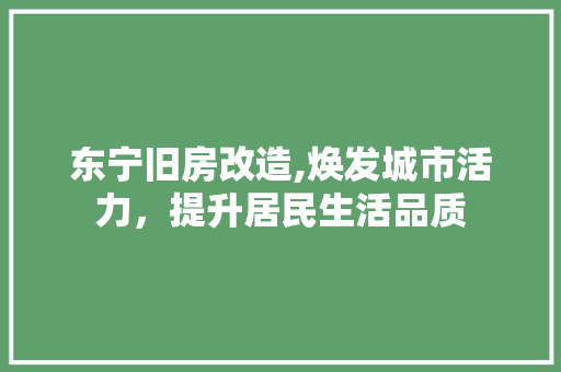 东宁旧房改造,焕发城市活力，提升居民生活品质(东宁市老旧小区改造)