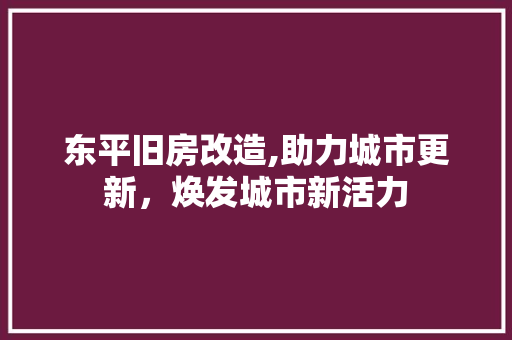 东平旧房改造,助力城市更新，焕发城市新活力(东平县旧城区改造)