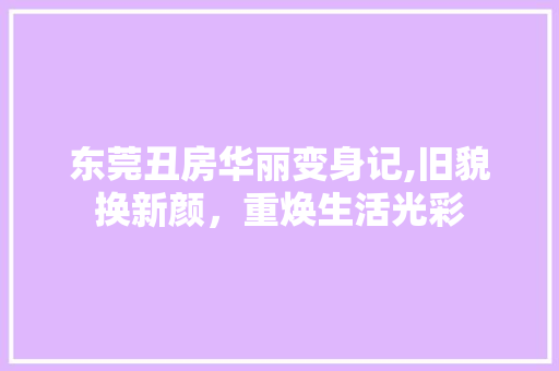东莞丑房华丽变身记,旧貌换新颜，重焕生活光彩