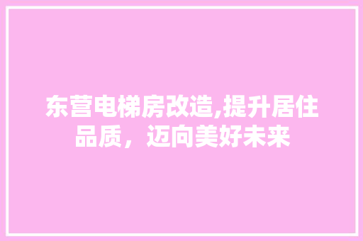 东营电梯房改造,提升居住品质，迈向美好未来(东营旧房改造电梯)