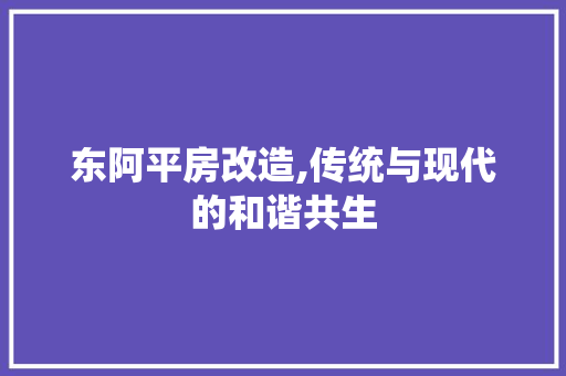 东阿平房改造,传统与现代的和谐共生(东阿平房出售信息)