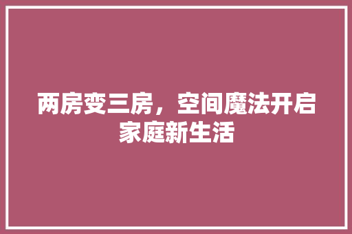 两房变三房，空间魔法开启家庭新生活(两房变三房怎么做隔断)