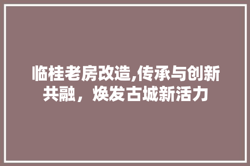临桂老房改造,传承与创新共融，焕发古城新活力