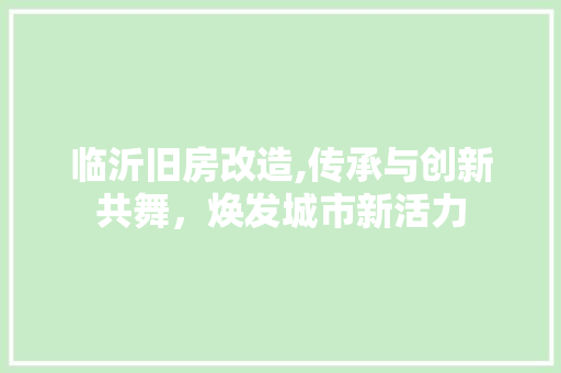 临沂旧房改造,传承与创新共舞，焕发城市新活力