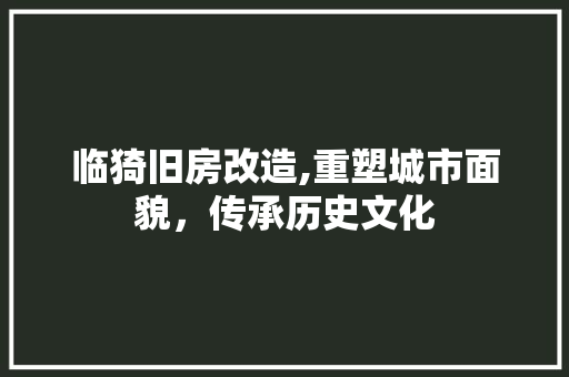 临猗旧房改造,重塑城市面貌，传承历史文化