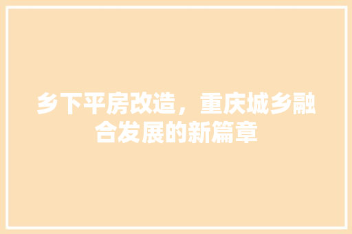 乡下平房改造，重庆城乡融合发展的新篇章