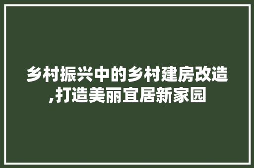乡村振兴中的乡村建房改造,打造美丽宜居新家园(乡村建筑改造案例)