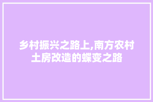 乡村振兴之路上,南方农村土房改造的蝶变之路(乡村土房改造案例)