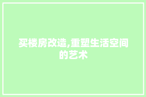 买楼房改造,重塑生活空间的艺术 买楼房改造,重塑生活空间的艺术