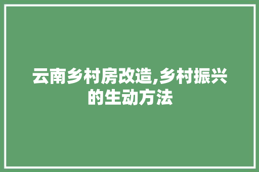 云南乡村房改造,乡村振兴的生动方法