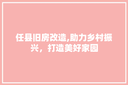 任县旧房改造,助力乡村振兴，打造美好家园