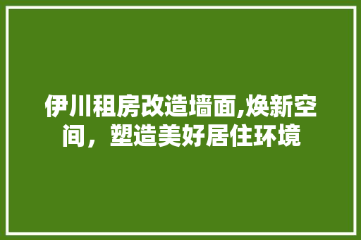 伊川租房改造墙面,焕新空间，塑造美好居住环境