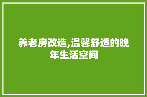 养老房改造,温馨舒适的晚年生活空间
