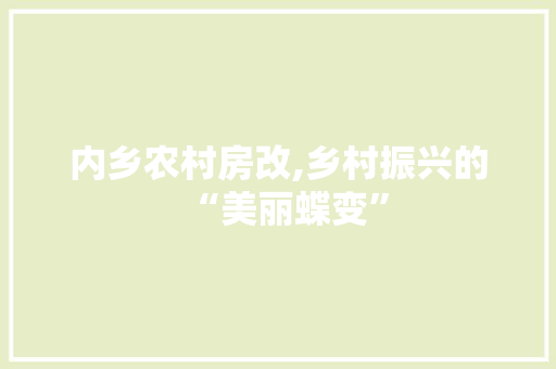 内乡农村房改,乡村振兴的“美丽蝶变”