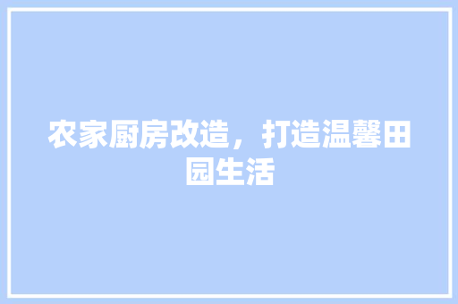 农家厨房改造，打造温馨田园生活