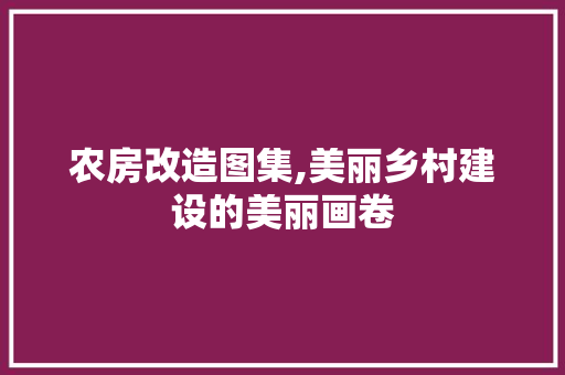 农房改造图集,美丽乡村建设的美丽画卷