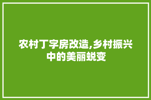 农村丁字房改造,乡村振兴中的美丽蜕变(农村丁字房屋)