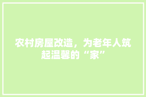 农村房屋改造，为老年人筑起温馨的“家”(老年人房屋改造项目)