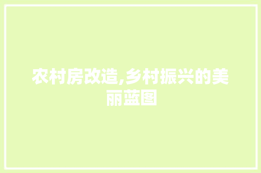 农村房改造,乡村振兴的美丽蓝图(乡村房屋改造)