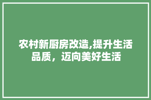 农村新厨房改造,提升生活品质，迈向美好生活