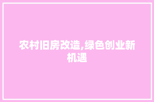 农村旧房改造,绿色创业新机遇(农村旧房改造案例)