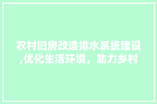 农村旧房改造排水系统建设,优化生活环境,助力乡村振兴 农村旧房改造排水系统建设,优化生活环境,助力乡村振兴