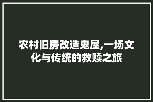 农村旧房改造鬼屋,一场文化与传统的救赎之旅(农村鬼宅)
