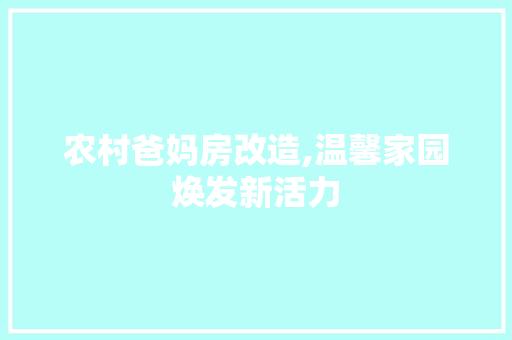 农村爸妈房改造,温馨家园焕发新活力(农村父母房屋怎样变更儿子)