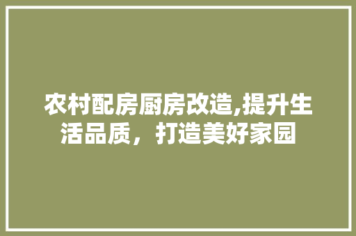 农村配房厨房改造,提升生活品质，打造美好家园(农村配房厨房改造,提升生活品质,打造美好家园)
